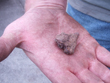 Click to enlarge image of second arrowhead
