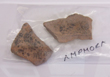  Click to enlarge image of sherds of Amphora