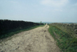 Click to enlarge image of Cobden Edge Enclosure Road